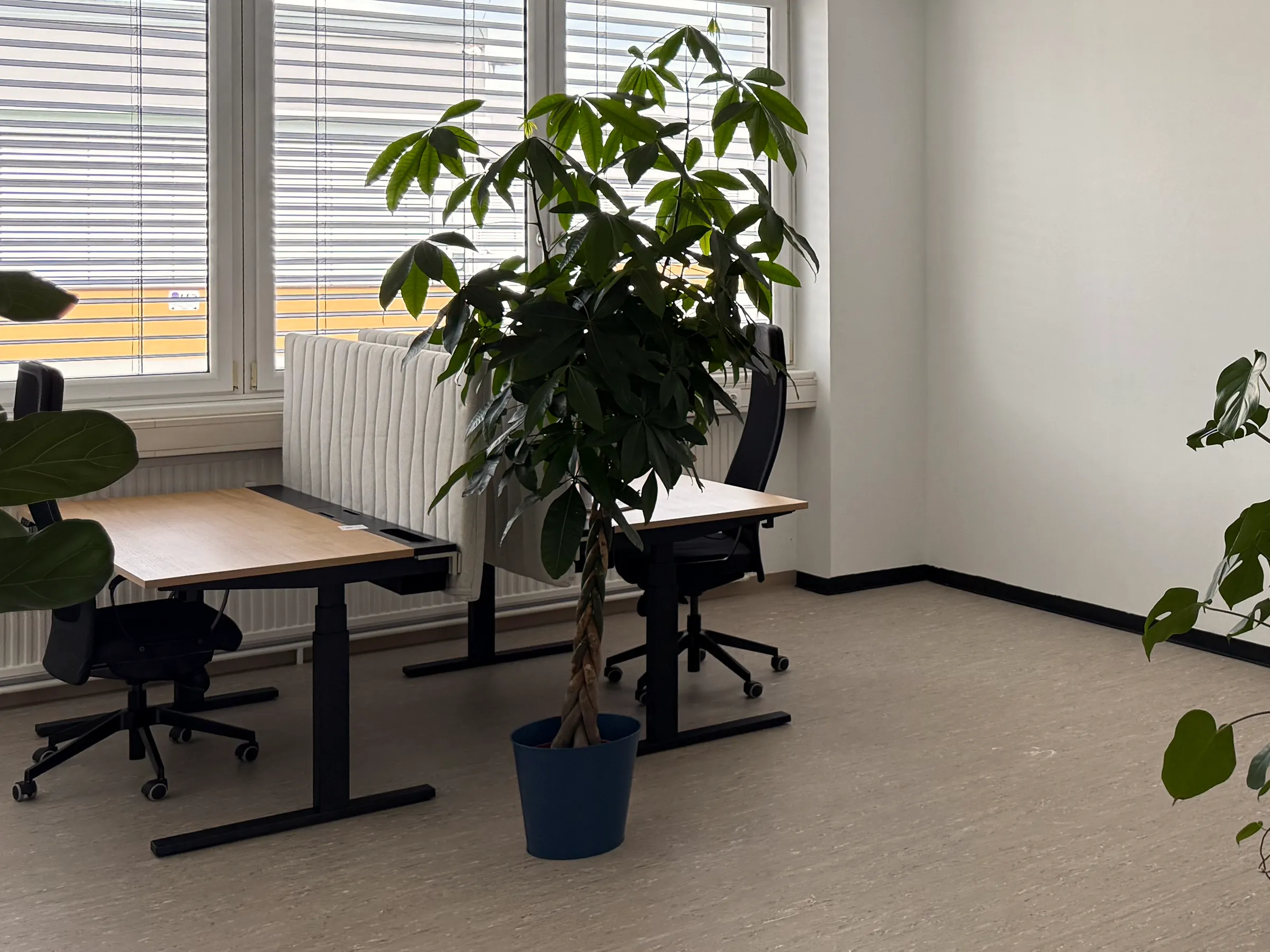 Coworking Space im Cohub mit höhenverstellbaren Schreibtischen